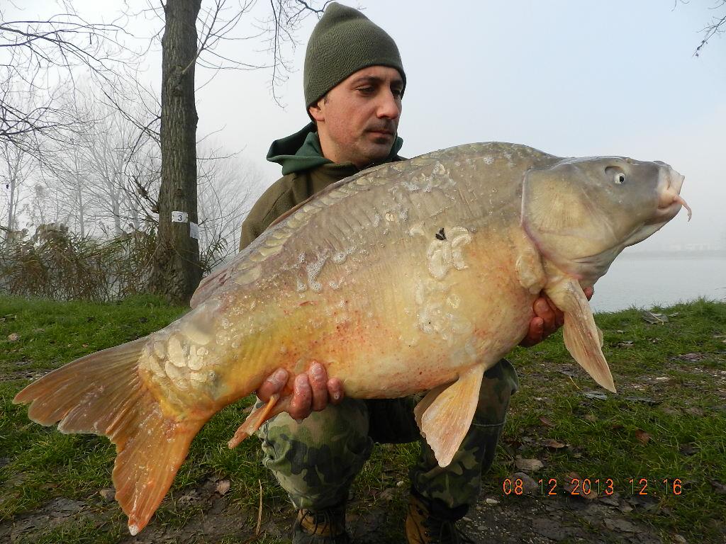 iarna cu carpfishing - dscn1862.JPG